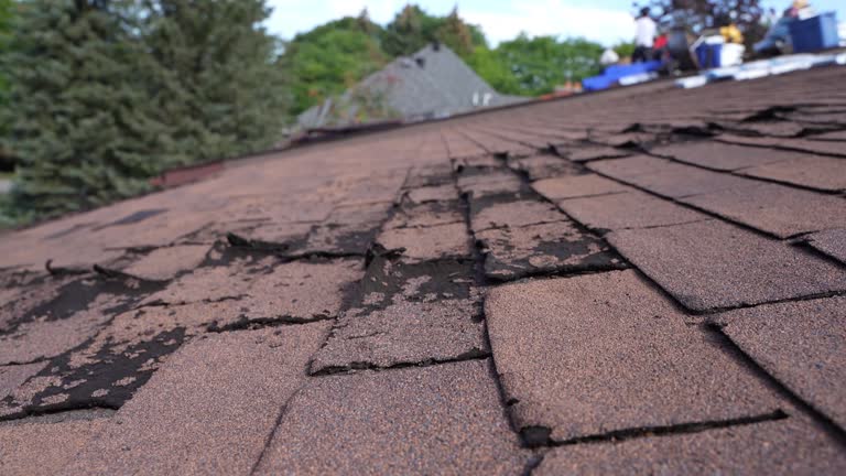 Best Roof Coating and Sealing  in Brookridge, FL