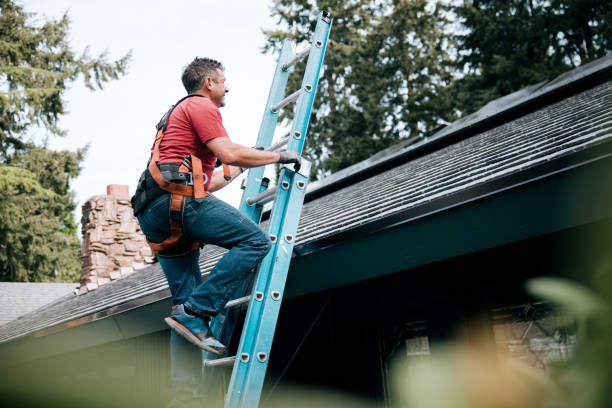 Asphalt Shingles Roofing in Brookridge, FL